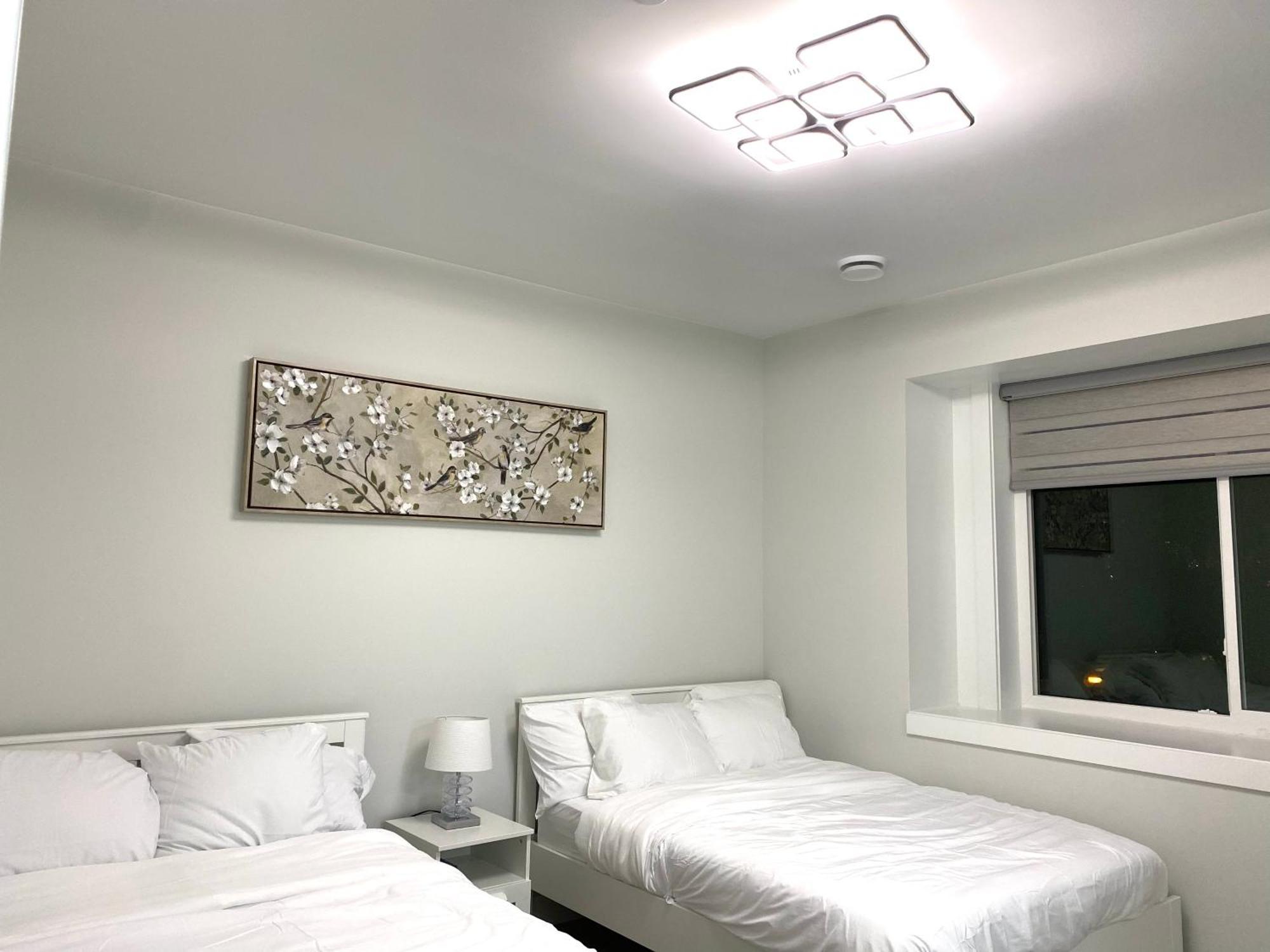 Modern And New House Near Pne With Big Garden And Free Parking Apartment Vancouver Exterior foto